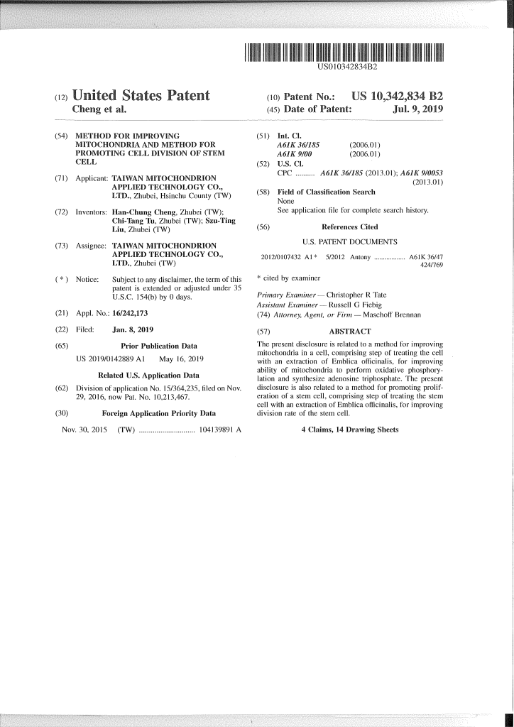 US Patent patent