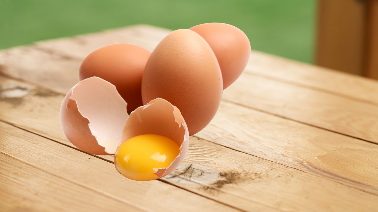 Egg Yolk Peptide