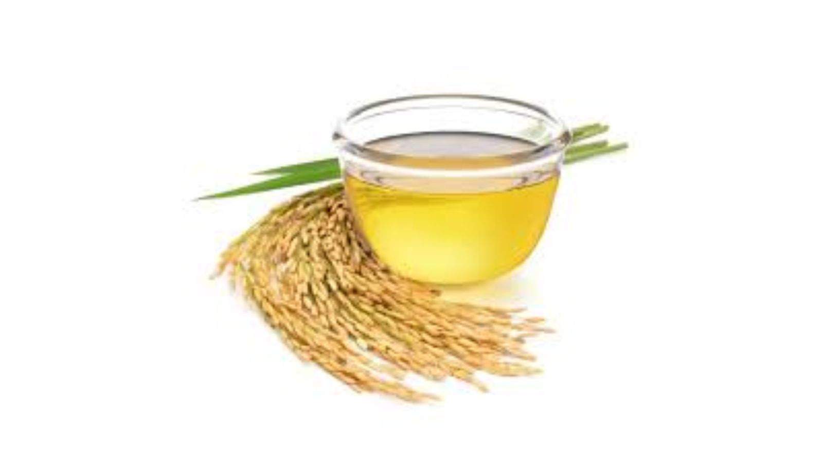 Rice Bran Oil