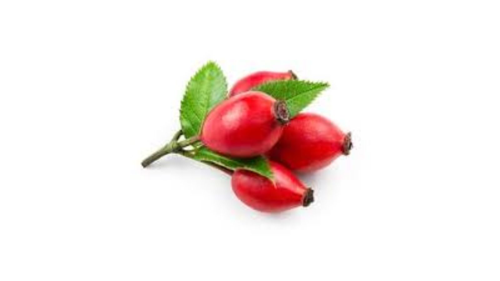 Rosehip Oil