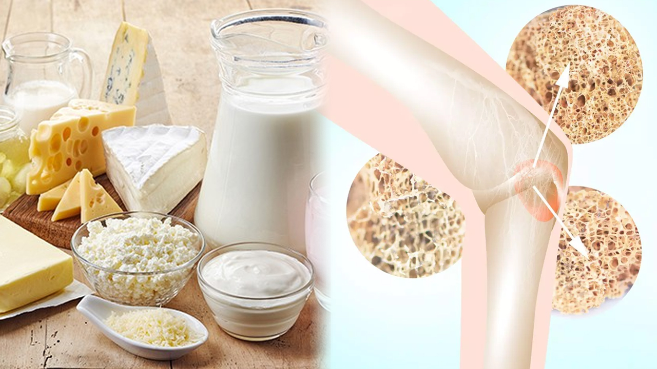High in calcium