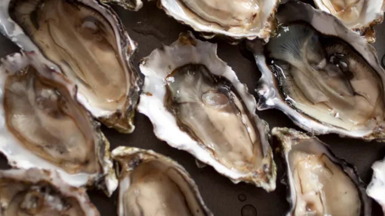Oyster Peptide