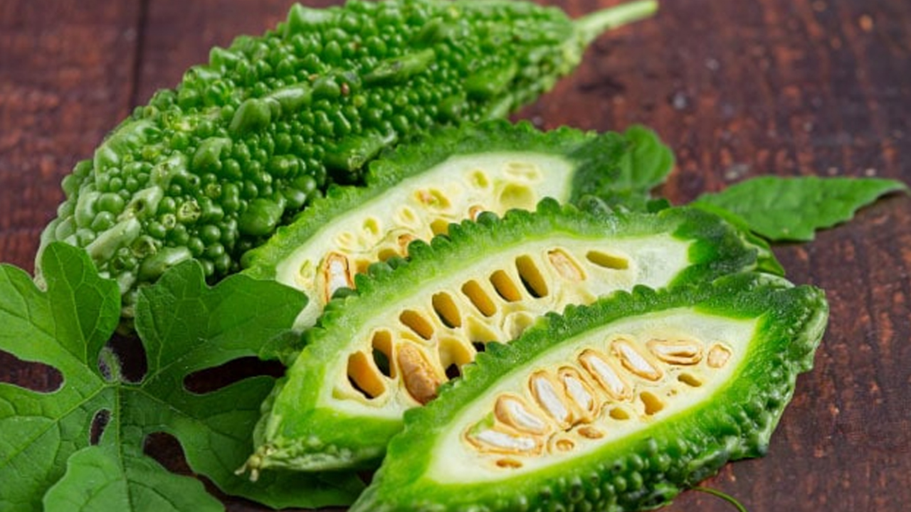 Bitter Melon Extract